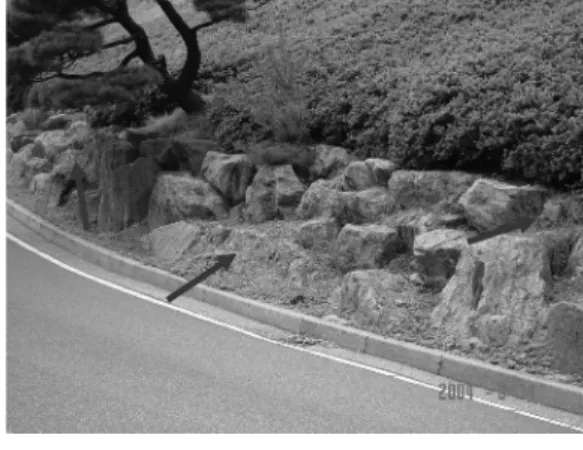 Fig. 4. Water soluble sulfate on an acid drainage generating cut slope.