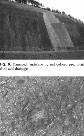 Fig. 9. Deterioration of asphalt pavement by the oxidation of pyrite in aggregates.