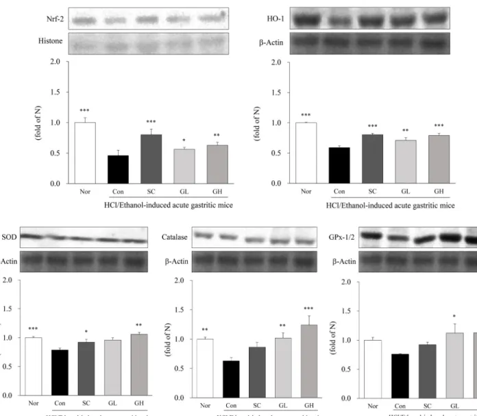 Fig. 3. Effect of GFE on antioxidant enzyme of stomach tissues in HCl/ethanol-induced acute gastritic mice