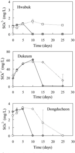 Fig. 6. Concentrations of sulfate ion over time. Solid: