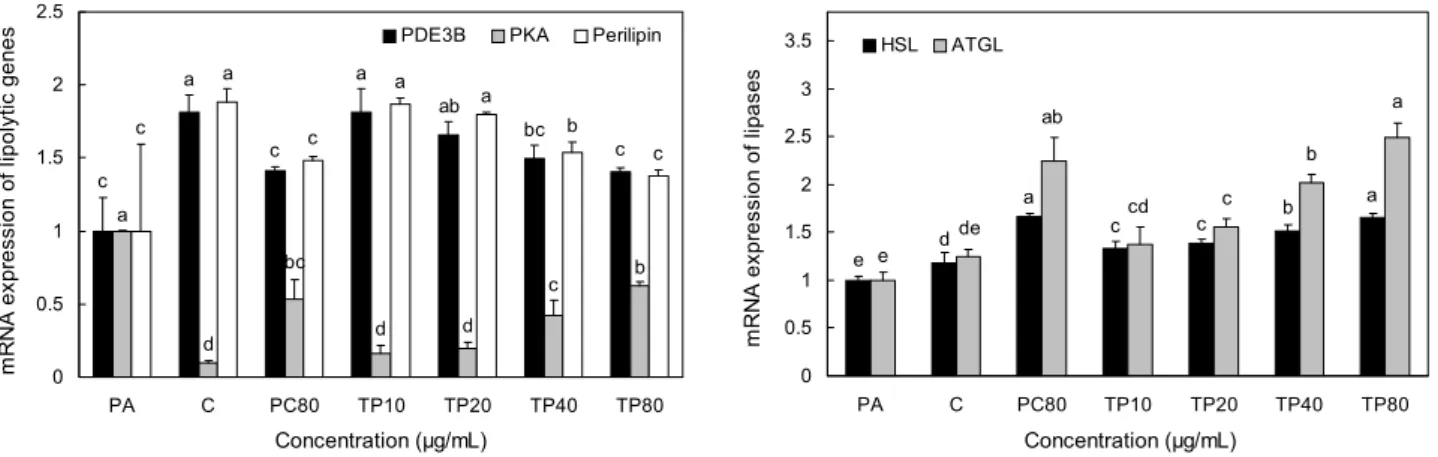 Fig. 3. Effects of TP on mRNA expressions of lipolytic genes in 3T3-L1 adipocytes. The differentiated 3T3-L1 adipocytes were  treated with TP for 72 hours