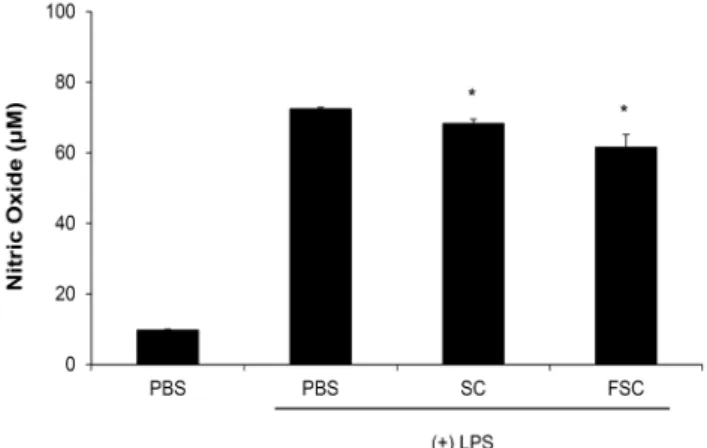 Fig. 1. Effect of fermented Schisandra chinensis on cytotoxicity  of RAW 264.7 cells. Values are expressed as mean±SEM