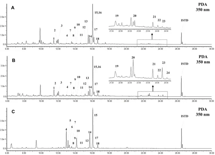 Fig. 2. UPLC-DAD chromatograms of flavonols in prickly pear (A, whole cladode; B, fruit) and dragon fruit (C, peel)