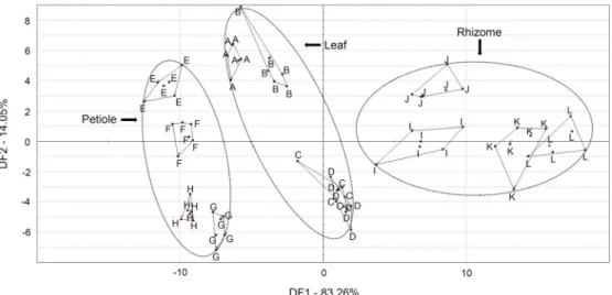 Fig. 5. Discriminant function analysis of the obtained data by taste sensors based on electronic tongue
