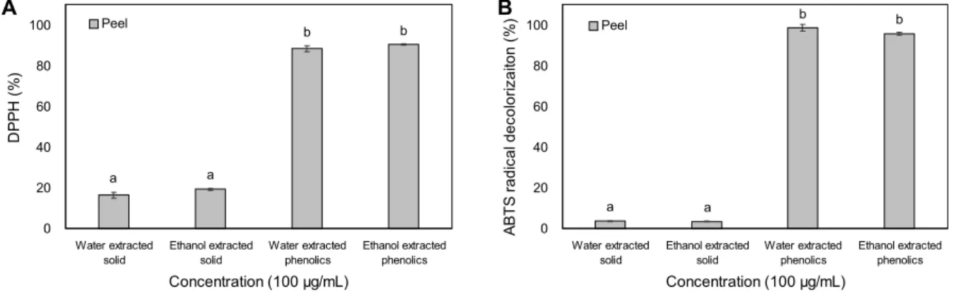 Fig. 2. The content of DPPH (A) and ABTS activity (B) on solid and phenolic from apple (Ruby S) peel