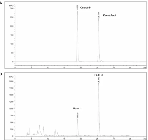 Fig. 1. HPLC chromatogram of standard flavonoid compounds (A) and hot water extract from Geranium thunbergii (B).