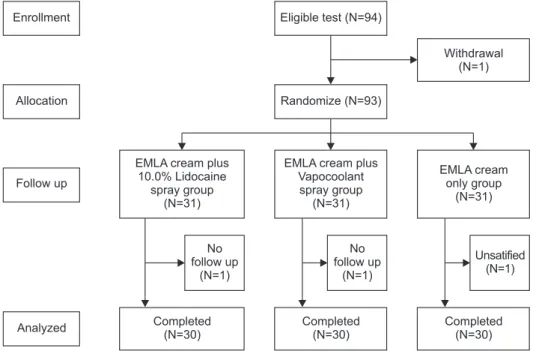 Figure 1. Randomized controlled trial flow diagram.