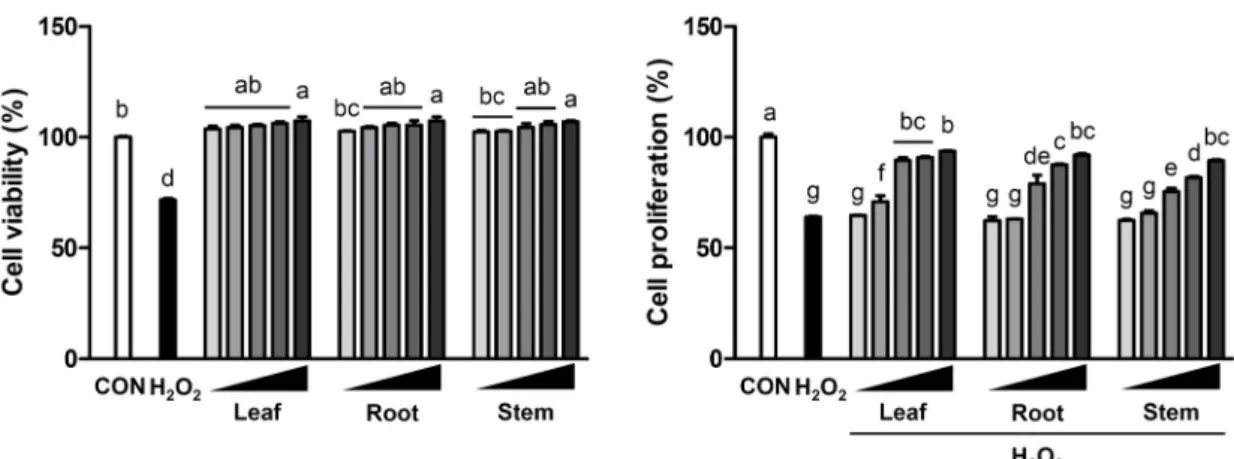 Fig. 3. Effect of barley sprout leaf, root, and stem ethanol extracts on proliferation of HT22 mouse hippocampal cells
