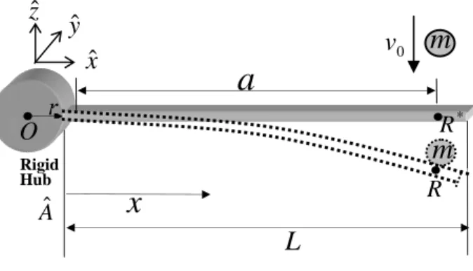 Fig. 1  Configuration of a cantilever beam  제안한  방법을  이용하여  몇  가지  예제의  해석  결 과를  도출하고  이  결과를 beam/shell 모델  결과와  또 solid 모델의  결과와  비교하여  충돌  시  발생하 는  접촉력의  정확성을  검증하고  해석  시간의  감소 로  인한  효율성을  증명한다