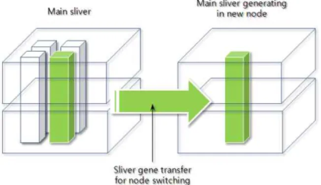 그림  26.  Sliver  Gene에  의한  노드  스위칭 Fig.  26.  Node  switching  by  sliver  gene