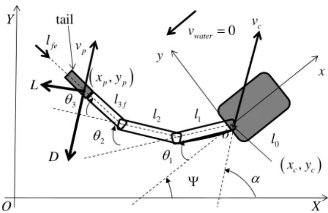 Fig. 1  Nomenclature of the robot fish kinematics  을  수행하였다.  이전  연구에서  3 개의  모터를  이용 하여  카랑지폼(Carangiform)  운동을  할  수  있도록  모사한  로봇  BASEMACK I, II 를  제작하였으며,  머 리  부분을  제외한  총  길이는 22cm 이며,  엑츄에이 터는  마이크로 DC 모터를  사용하였고,  꼬리의  aspect ratio 는  일반적  고등어와  비