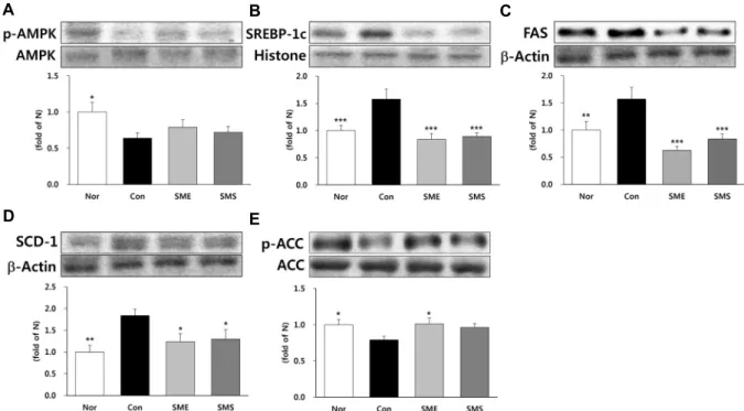Fig. 3. Expression of protein related to lipid metabolism in liver tissue. Western blot analysis of AMPK, p-AMPK, SREBP-1c,  SCD-1, FAS, ACC, p-ACC expression; (A) p-AMPK, (B) SREBP-1c, (C) FAS, (D) SCD-1, (E) p-ACC
