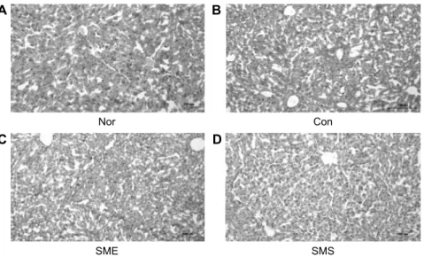 Fig. 4. Effect of herbal medicines mixture  on the histopathological change in liver  tis-sues of high fat diet mice