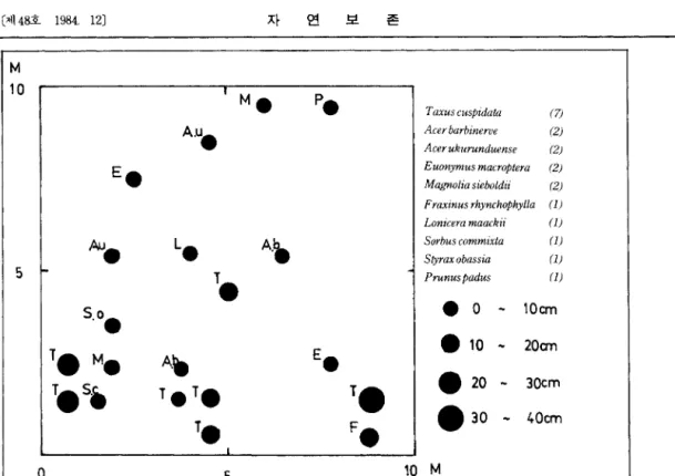 Fig.  4.  Distribution  diagram  of  all  trees  including  Taxus  cμspìdata  by  the  c1 asses  of  DBH  Í! l  site  2 