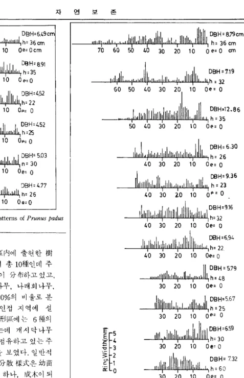 Fig.  8.  Radial  growth  pattems  of  Acer  barbinerve 