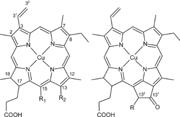 Fig. 1. Structure of copper chlorins (8). 1: R 1 =−CH 2 COOH, R 2 =