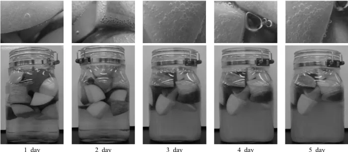 Fig. 2. Appearance of fermented apple whole wheat flour extract during 5 day.
