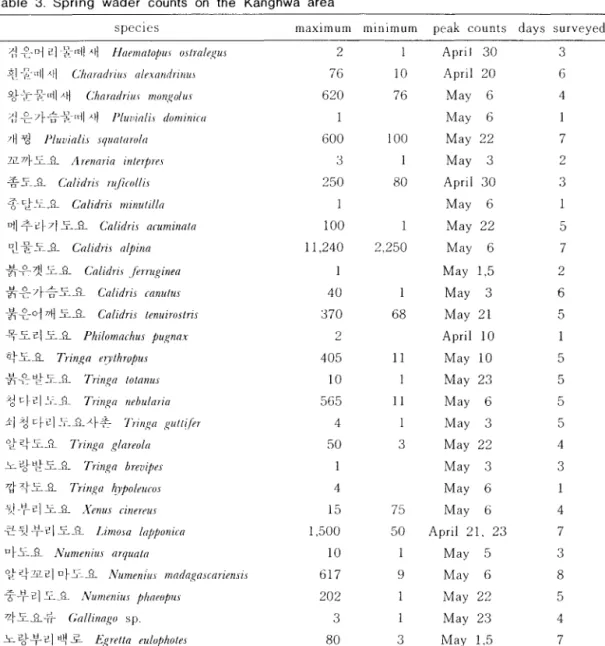 Table  3.  Spring  wader  counts  on  the  Kanghwa  area 