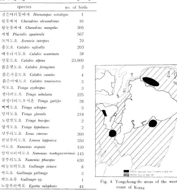 Fig.  4.  Yongchong- do  areas  of  the  west  coast  of  Kurea 