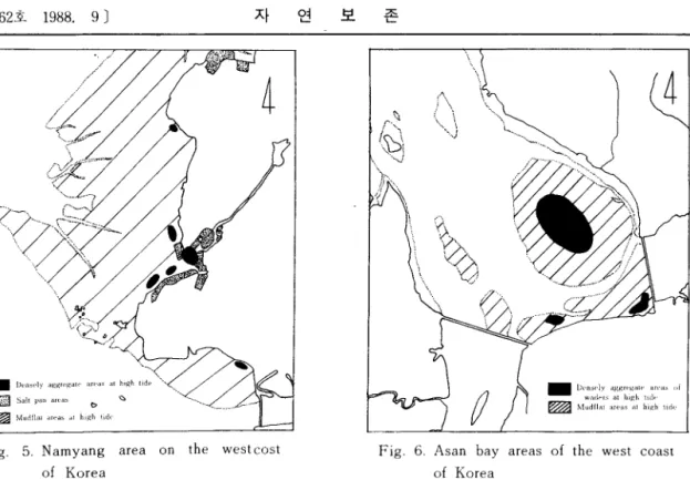 Fig.  5.  Namyang  area  on  the  westcost  of  Korea 