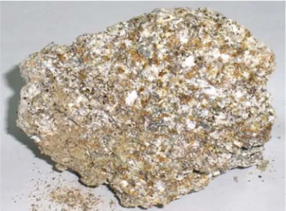 Figure  11.  Highly  weathered  granodiorite.