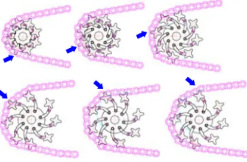 Figure 3 – Engagement between chain and chain gear 