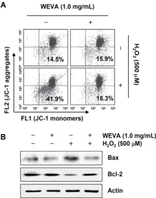Fig. 4. Effects of WEVA on the MMP values and the expression  of Bax and Bcl-2 in H 2 O 2 -treated HaCaT human keratinocytes