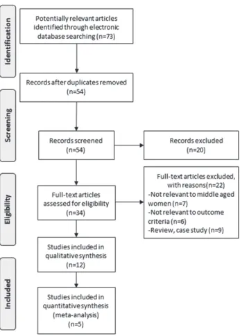 Figure 1. Study flow diagram of a systematic review.