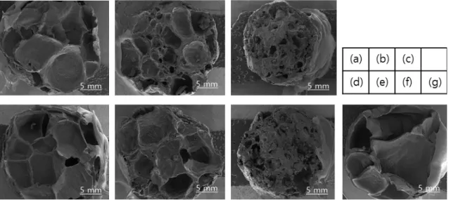 Fig. 3. Scanning electron micrographs of cross-sections of extruded rice flour at different cacao bean contents: (g) 100% rice, (a-c)  20%, 40%, 60% roasted cacao bean, (d-f) 20%, 40%, 60% non-roasted cacao bean.