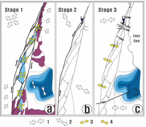 Fig. 9.  Structural evolution of the  study area. (a) Stage 1: Formation of  the Singwang strike-slip duplex in the  NE-SW compression