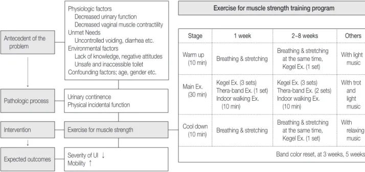 Figure 2. The conceptual model of the study and muscle strength training program.