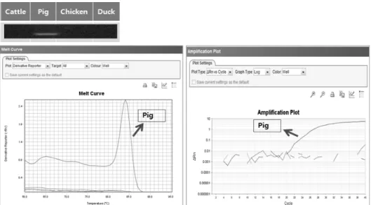 Table 6. Sensitivity tests and Ct values for pork and chicken DNA concentration (ng/μL) Ct values Pork Chicken 50 5.0 0.5 0.05 20.10±0.02 d22.35±0.01c26.08±0.02b31.01±0.03a 11.87±0.01 d15.10±0.00c18.67±0.01b22.48±0.01a All values represent mean±SD (n=3).