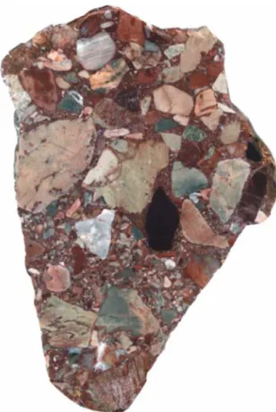 Fig. 6.  Cross section of the TM4 base conglomerate. The poorly- poorly-sorted breccia is mainly composed of varicolored clasts of  lime-stones and cherts (subangular to subrounded), and the matrix  con-tains reddish clay