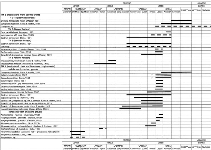 Fig. 7.  List and range of microfossils from the TM3 chert and gravels in TM4 conglomerate