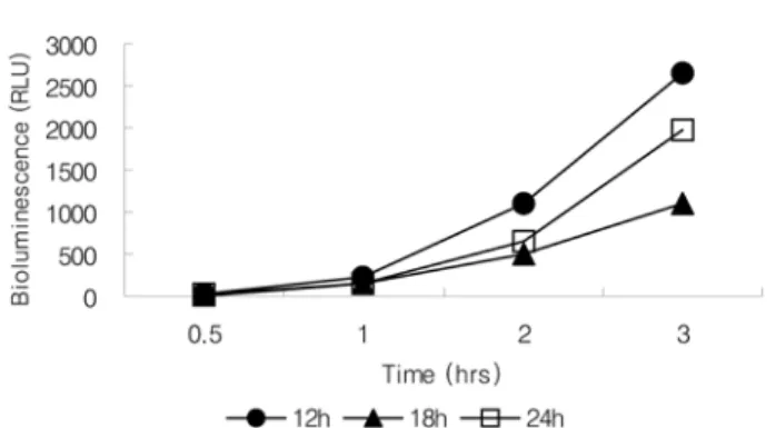 Fig. 5.  Effect of freeze-drying time on the bioluminescence activity.