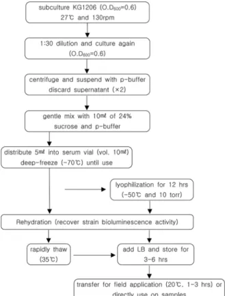 Fig. 9.  Protocol for the application of recombinant strain on contaminated environments.