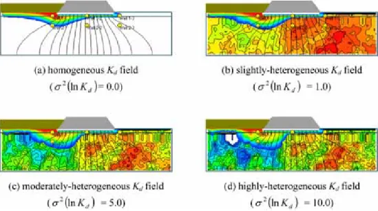 Fig. 4.  Hydraulic head and concentration in the chemically-heterogeneous landfill systems after 10 years.