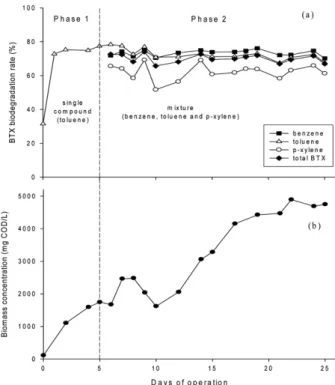 Fig. 2.  Changes in (a) BTX removal efficiencies and (b) biomass concentration in the diffuser-type HFMB.