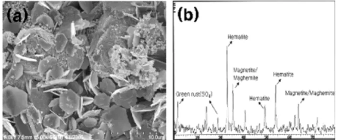 Fig. 8.  The SEM (a) and XRD (b) analyses of a hematite/CaO/