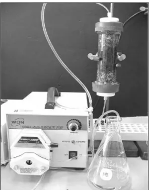 Fig. 1.  Column experiment for soil washing with 20% hydrogen peroxide solution.