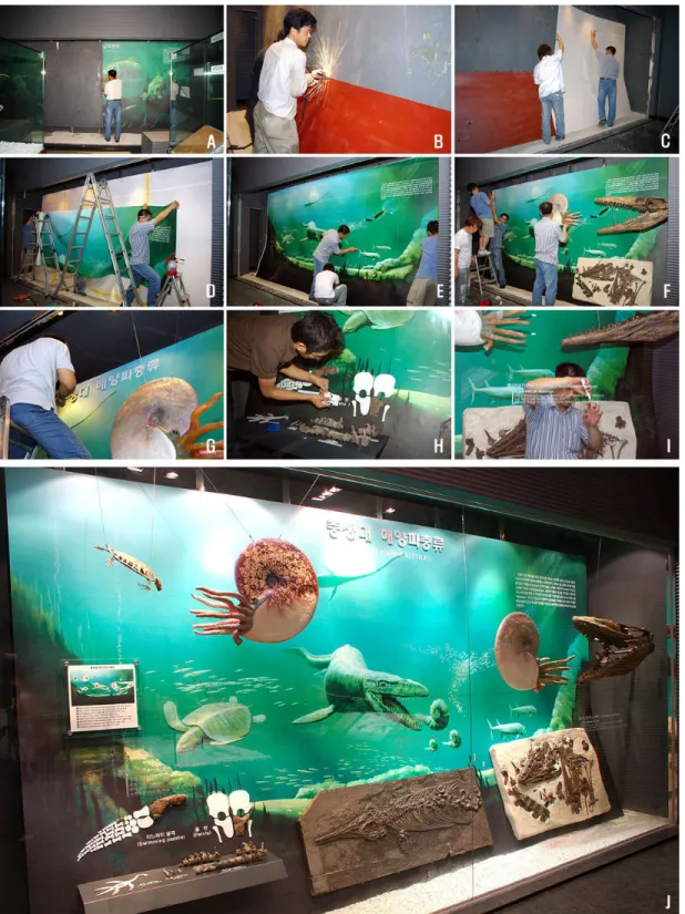Fig. 5. Installation process for the new ‘Mesozoic Marine Reptiles' booth. A-I, Installation; J, Renovated booth  (modified from Shin et al., 2005b).