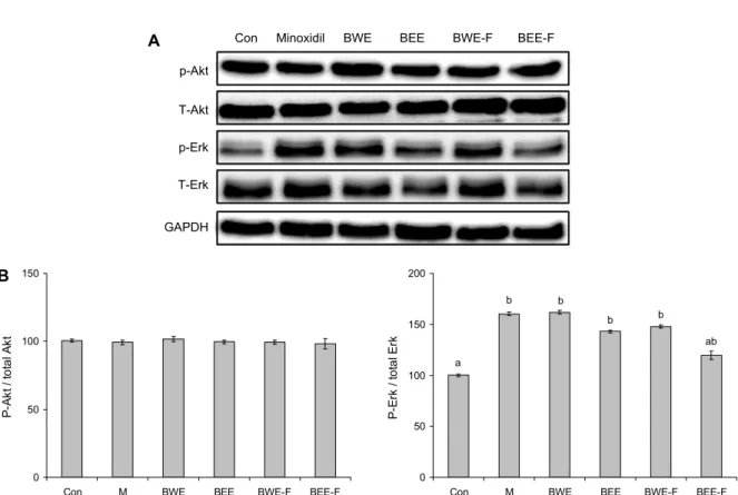 Fig. 4. Effect of black soybean extracts and fermented black soybean extracts on phosphorylation of Akt and Erk in HFDPC