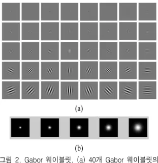Fig.  2.  Gabor  wavelet.  (a)The  real  part  of  the  Gabor  wavelets  at  five  scales  and  eight  orientations