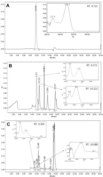 Fig. 1. HPLC analysis of vicine in bitter melon. (A) standard material of vicine, (B) raw material of bitter melon, (C) test  substance of bitter melon.