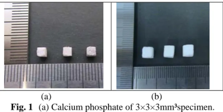 Fig. 1  (a) Calcium phosphate of 3×3×3mm³specimen. 