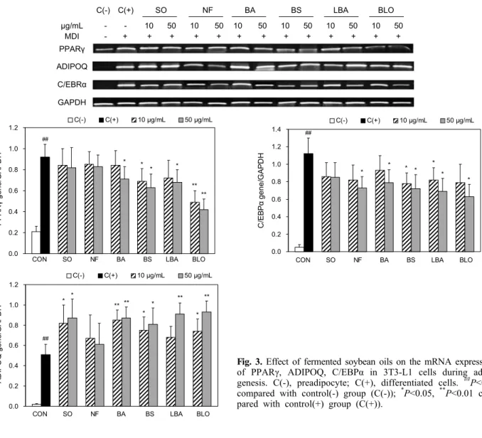 Fig. 3. Effect of fermented soybean oils on the mRNA expressions  of PPARγ, ADIPOQ, C/EBPα in 3T3-L1 cells during  adipo-genesis