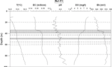 Fig. 10. Water quality log in NJ-11.