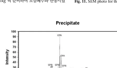 Fig. 11. SEM photo for the precipitate (X 5000).