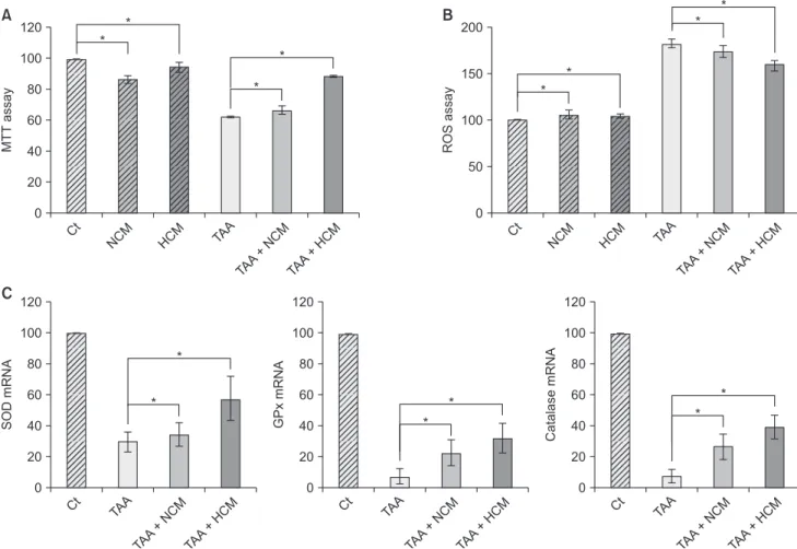 Fig. 1. Validation of the in vitro effects of HCM. (A) Cell viability assay showing that HCM most significantly increased the  cell viability of TAA-treated AML12 cells