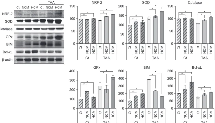 Fig. 2. Western blot analyses showing in vitro effects of HCM at the protein level. HCM was found to significantly increased  NRF2, antioxidant proteins (SOD, GPx, and catalase), and an antioxidant protein (Bcl-xL), whiling decreasing the expression of  a 